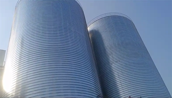 中平镇2座混凝土高架卷板仓